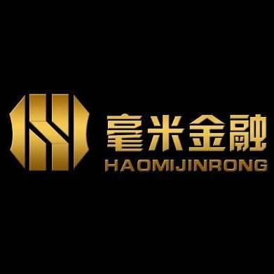 上海毫米金融信息服務 專業金融信息咨詢的領航者