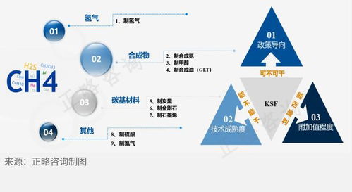 天然氣深加工行業(yè)細(xì)分領(lǐng)域發(fā)展前景淺析及旅游開發(fā)項目策劃咨詢